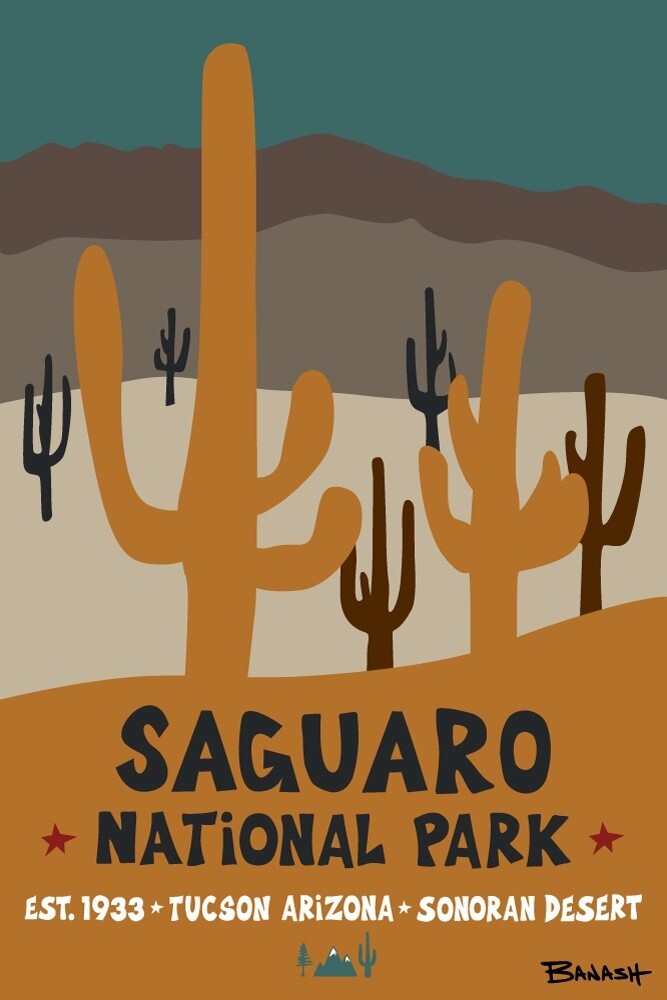 SAGUARO NATIONAL PARK . SERIES | CANVAS | ILLUSTRATION | 2:3 RATIO, Size: 12x18, STYLE: SIMPLE