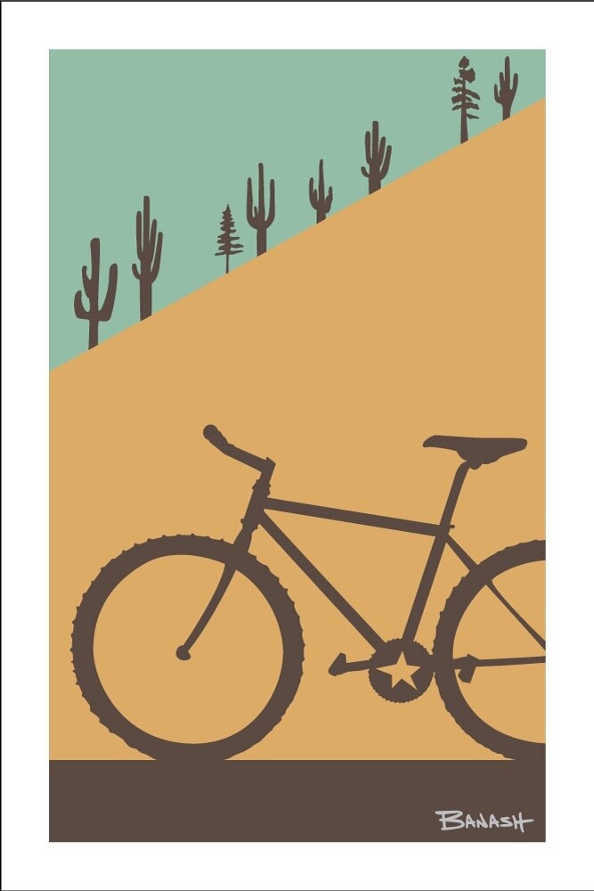 MOUNTAIN BIKE . CACTUS SLOPE . COLOR SERIES | CANVAS | ILLUSTRATION | LIFESTYLE | 2:3 RATIO