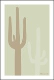 CACTUS . DRIFTWOOD | LOOSE PRINT | ILLUSTRATION | 2:3 RATIO