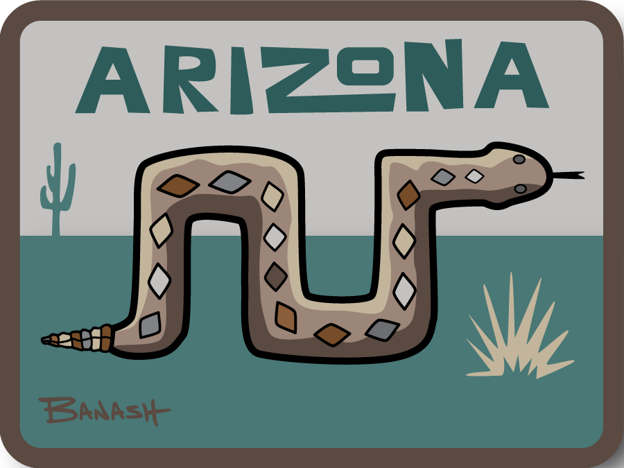 RATTLESNAKE | RECTANGLE PATCH