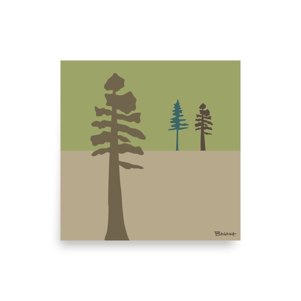 PINE SERENITY . SERIES | POSTER PRINT | ILLUSTRATION | 1:1 RATIO