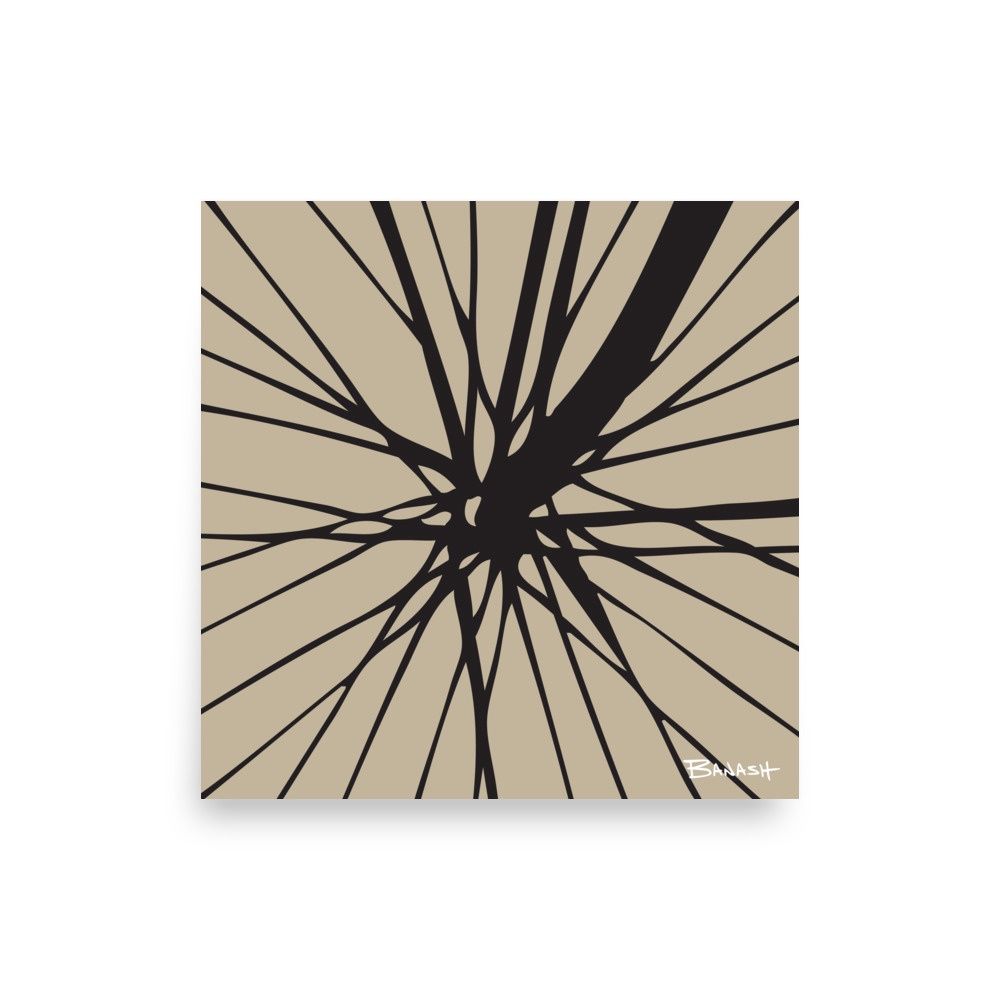 SCHWINN AUTOCYCLE . FORK SPOKES | POSTER PRINT | ILLUSTRATION | 1:1 RATIO