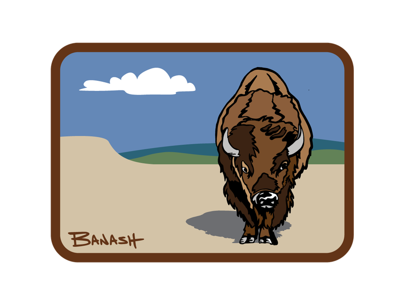 BISON LANDSCAPE . BUTTE | RECTANGLE PATCH