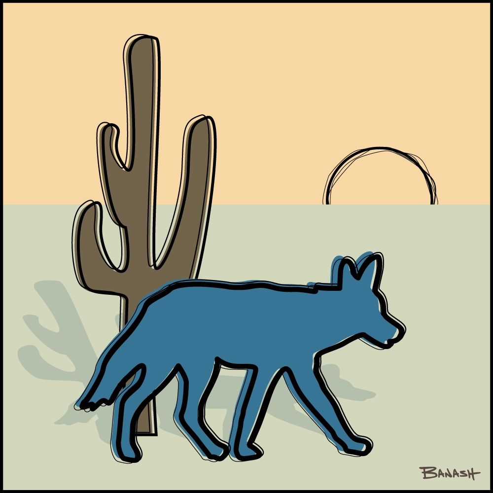 SAGUARO COYOTE | CANVAS | ILLUSTRATION | 1:1 RATIO