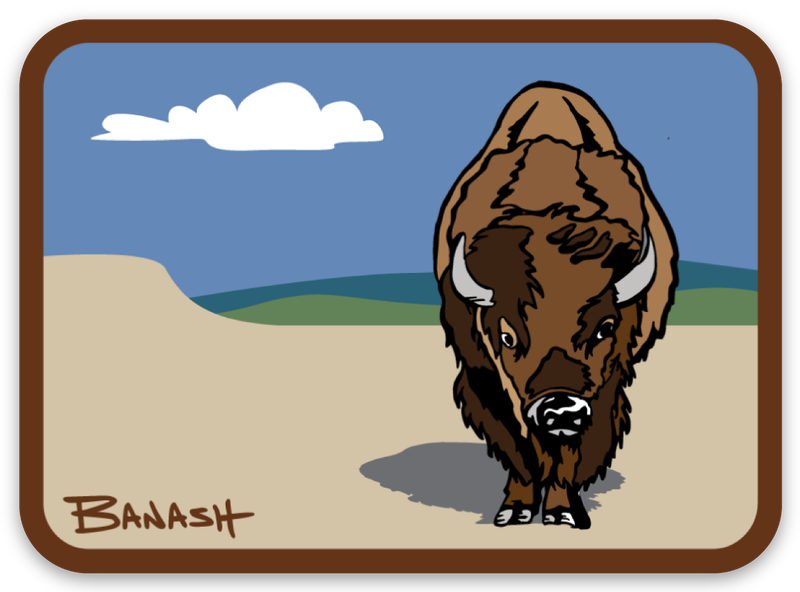 BISON LANDSCAPE | RECTANGLE MAGNET