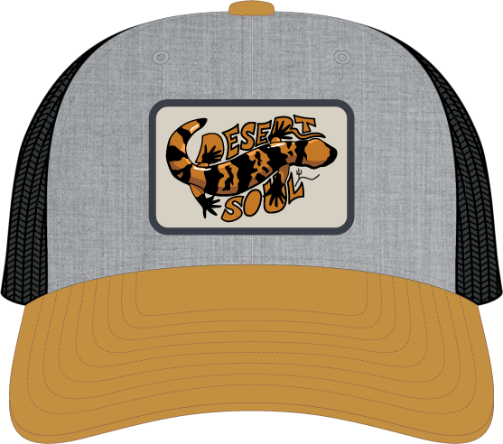 DESERT SOUL | TRUCKER HAT