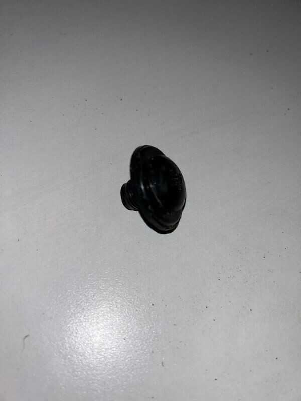 Rear Plastic screw