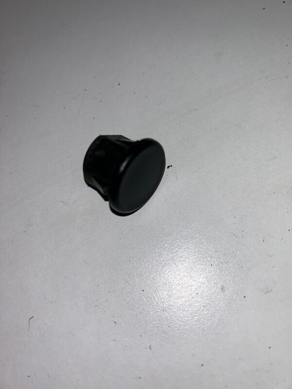 Dash bung blank