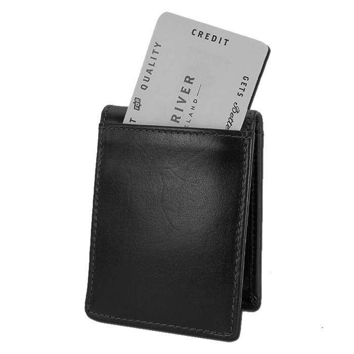 FERGAL DOG WALLET