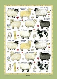 Tea Towel-Sheep Breeds