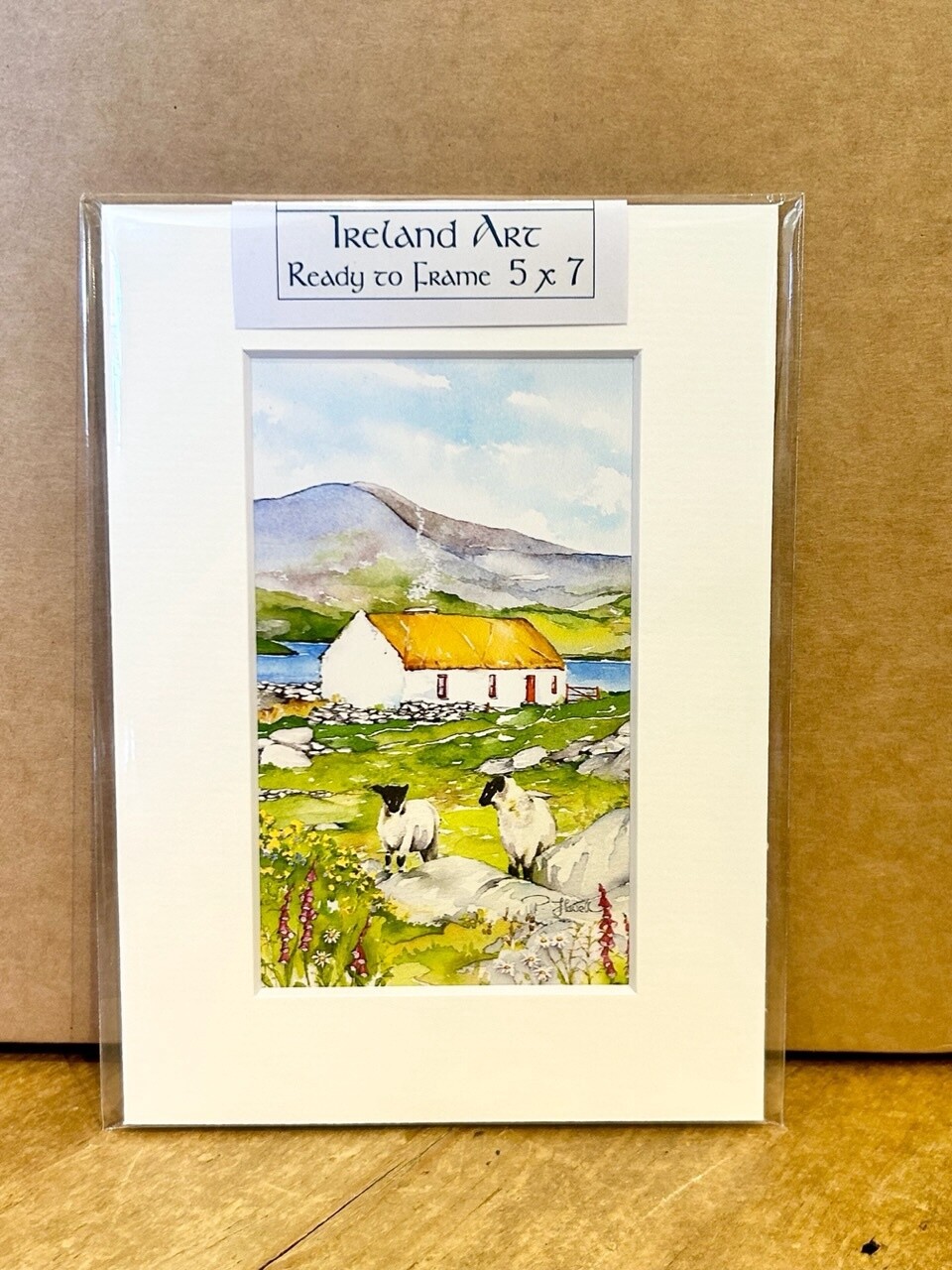 Ireland 5x7 Print - Sheep #2