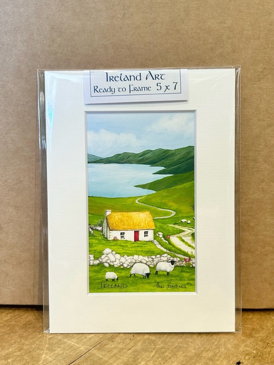 Ireland 5x7 Print - Sheep #1