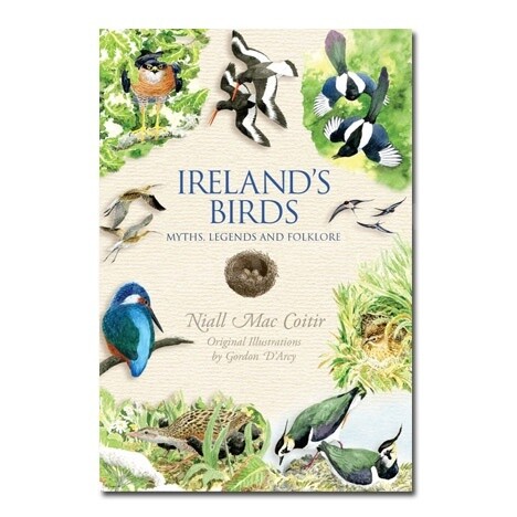 Ireland's Birds