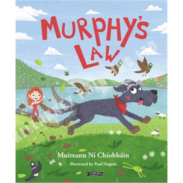 Murphy&#39;s law