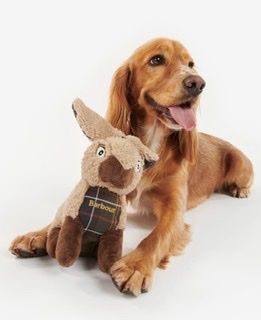 Barbour Rabbit Dog Toy