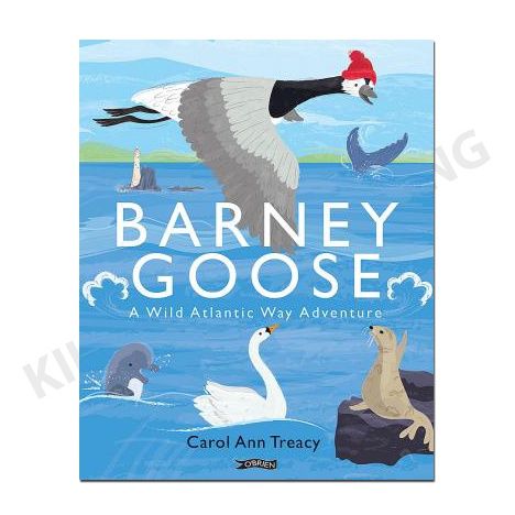 Barney Goose - Hard Cover
