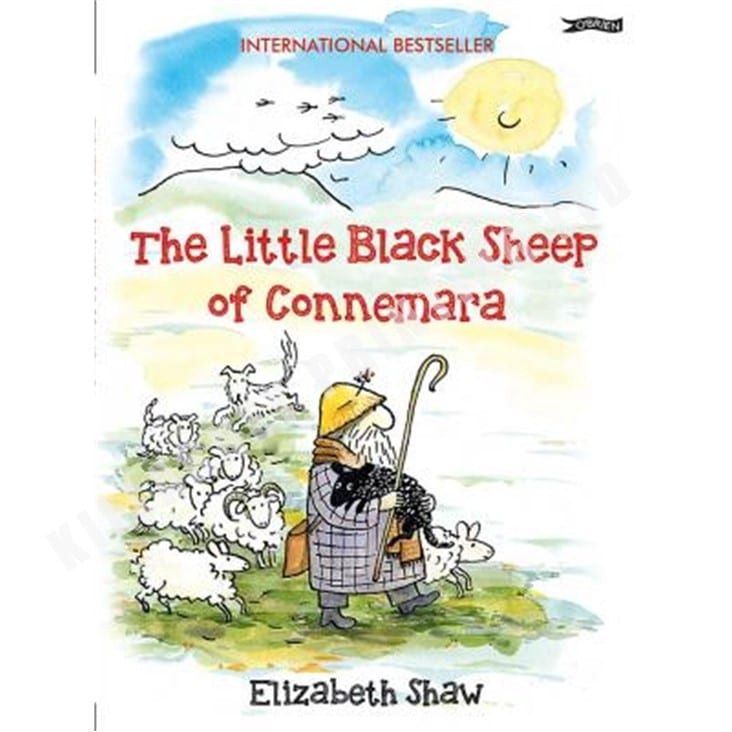 Little Black Sheep of Connemara
