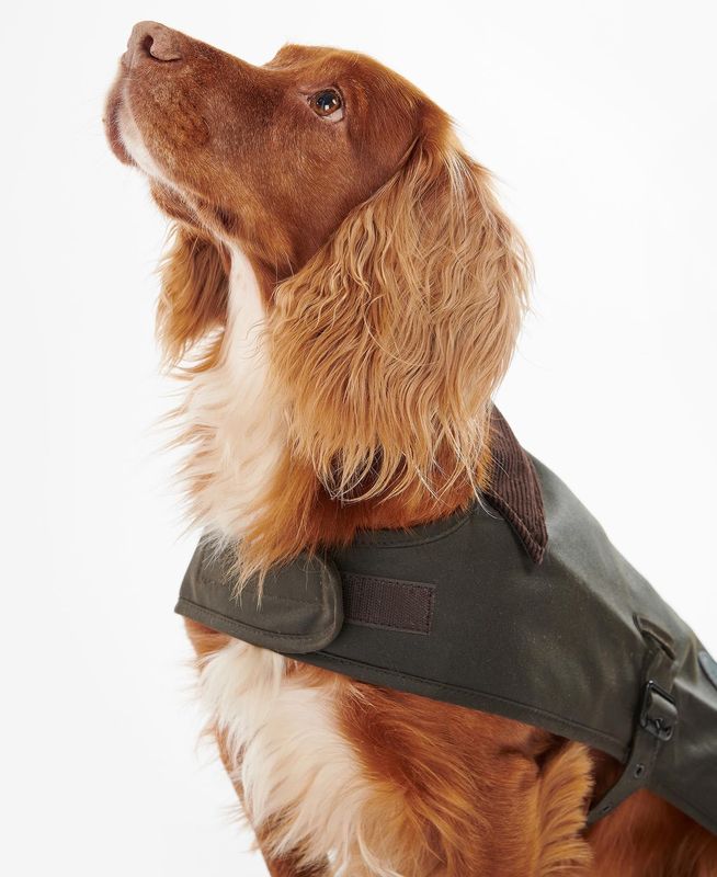 Barbour Waxed Cotton Dog Coat