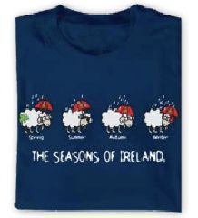 Women&#39;s Cut T-Shirt - Seasons of Ireland