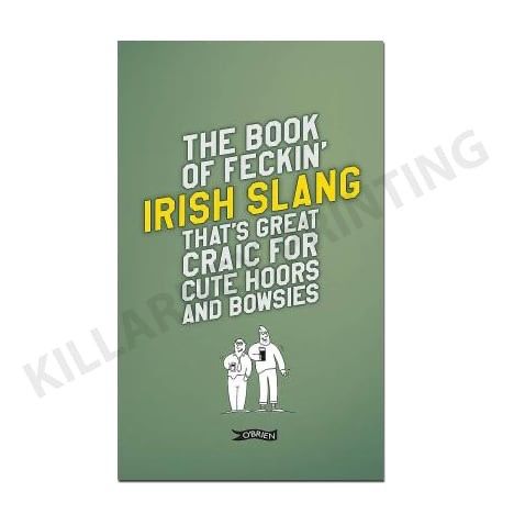 Feckin' Book Of Irish Slang