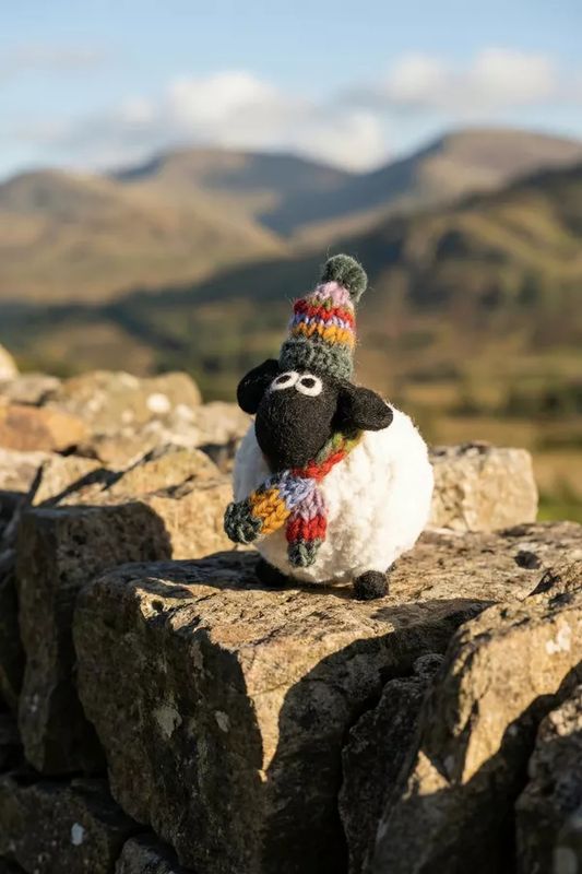 Margaret the Lakeland Sheep