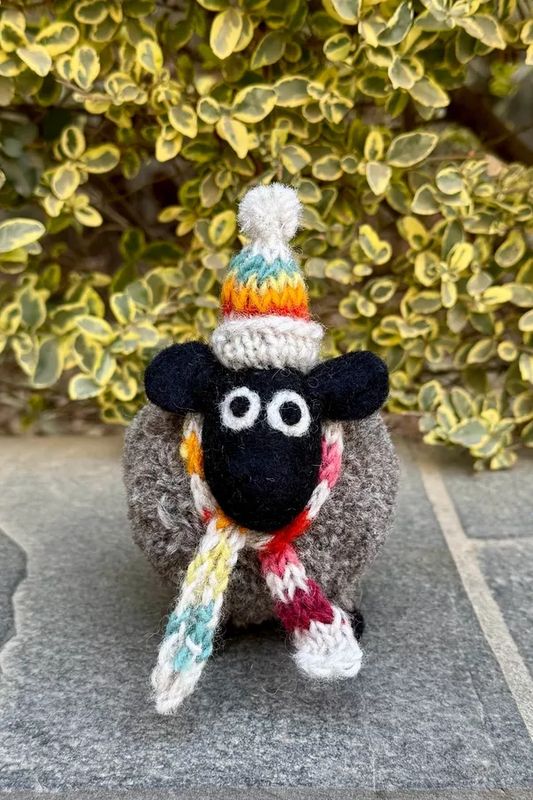 Stuart The Lakeland Sheep