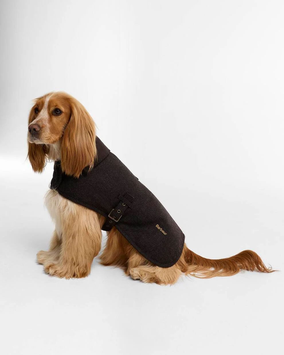 Barbour Barlow Tweed Dog Coat