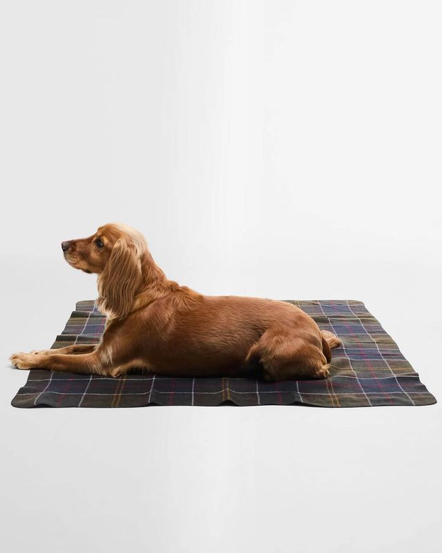 Barbour Dog Tartan Blanket