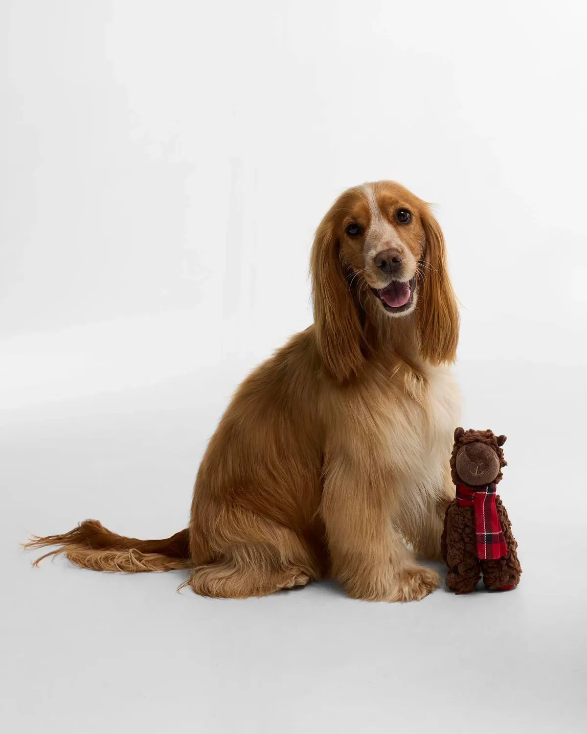 Barbour Dog Llama Toy