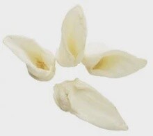 Red Barn Lamb Ear