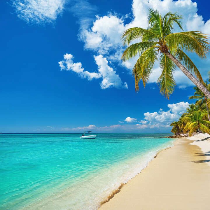 VIAJE A PUNTA CANA 3-7 NOVIEMBRE