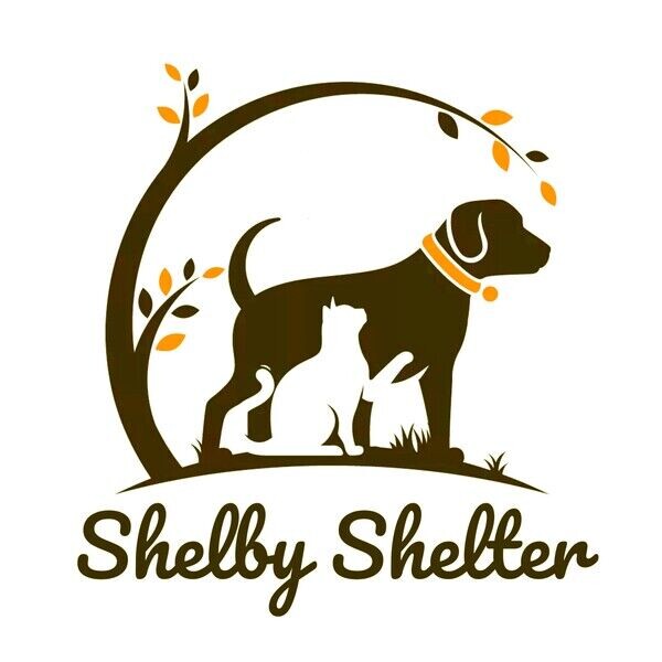 Royal Dachshund Family Online Store