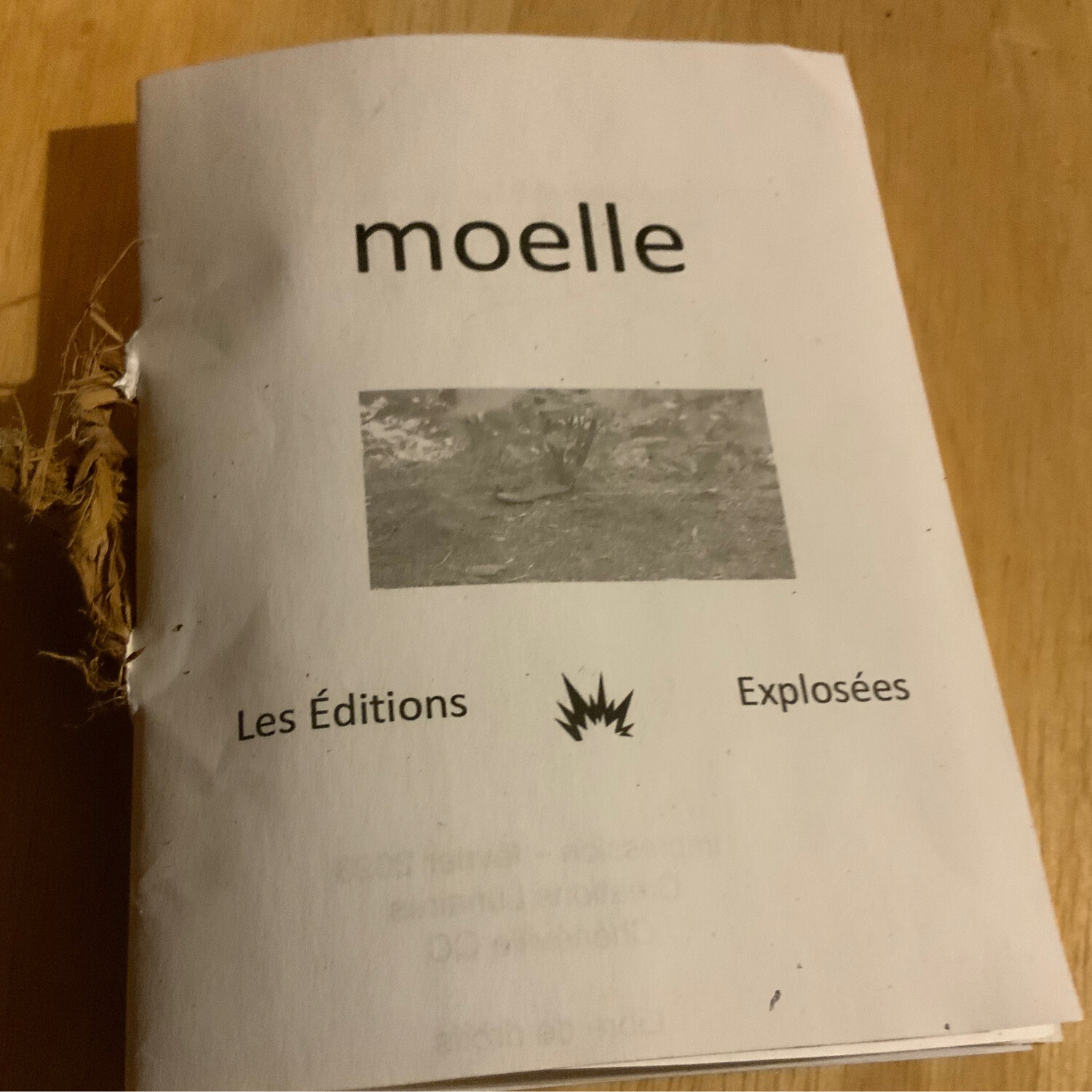 Moelle