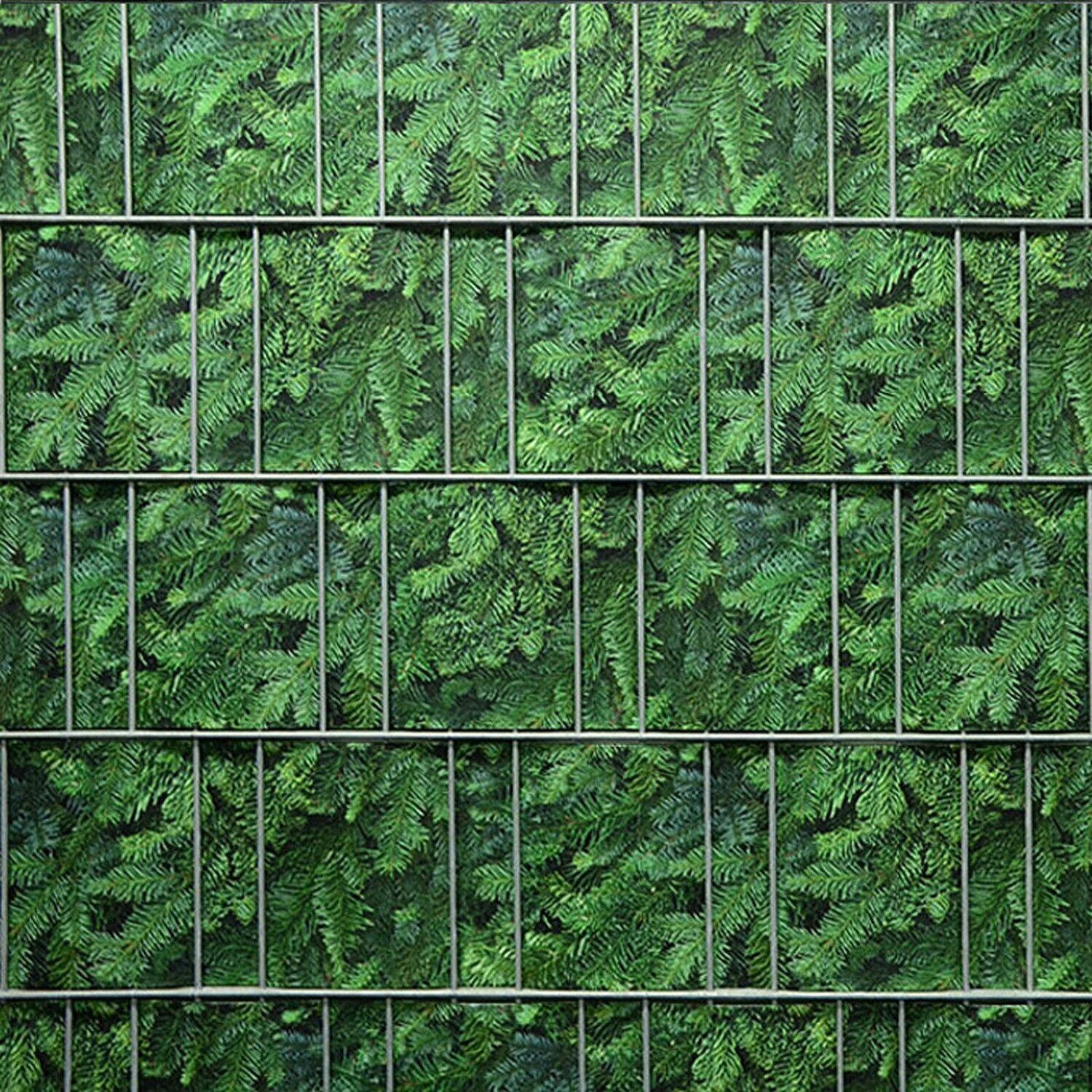 Fotodruck beidseitig Tannenzweige