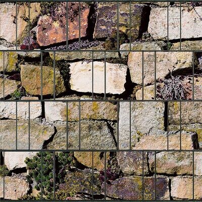 Fotodruck beidseitig Steingewächse