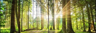 Ganze Motive einseitig XL Wald