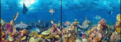 Ganze Motive einseitig XL Fische