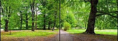 Ganze Motive einseitig XL Park
