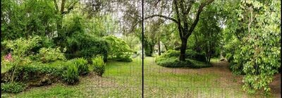 Ganze Motive einseitig XL Parklandschaft