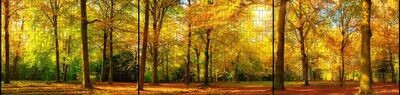 Ganze Motive einseitig XXL Herbst