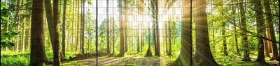 Ganze Motive einseitig XXL Wald