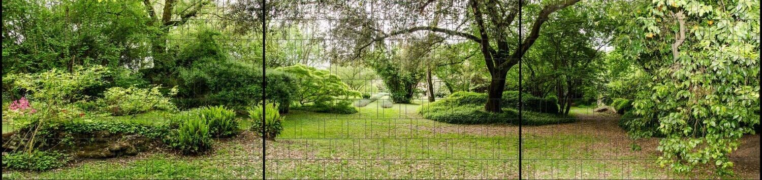 Ganze Motive einseitig XXL Parklandschaft