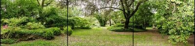 Ganze Motive einseitig XXL Parklandschaft