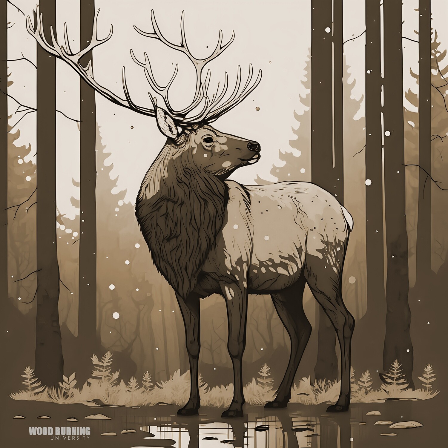 Elk / Deer
