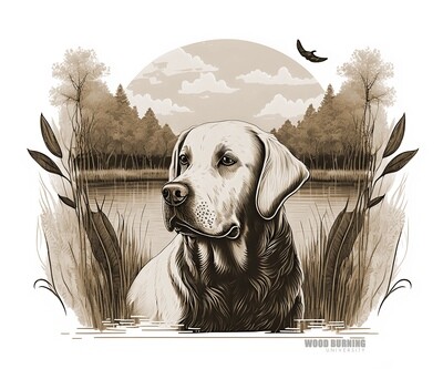 Dog Dog