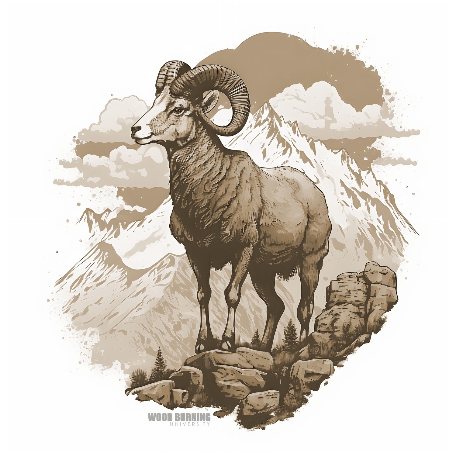 Bighorn Sheep