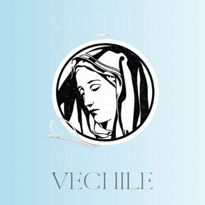 Vehcile Accessories