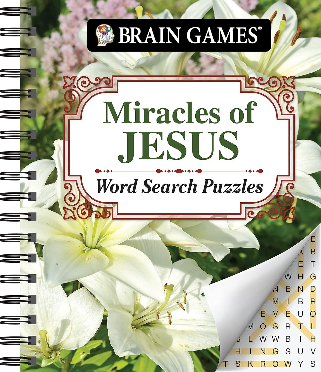 Miracles of Jesus Word Search Puzzle