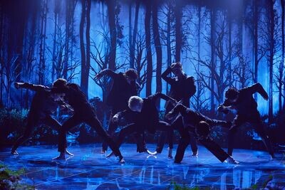 Full Package (includes backdrop, formation, and outfit idea)