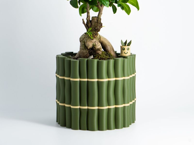 Bamboo Planter with Water Level Meter Buddy
